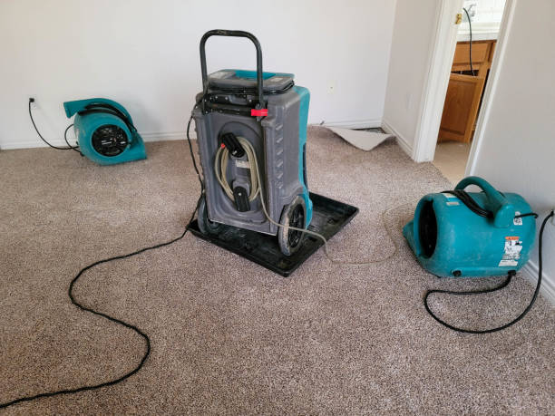 Best Flood restoration services  in Rainsville, AL