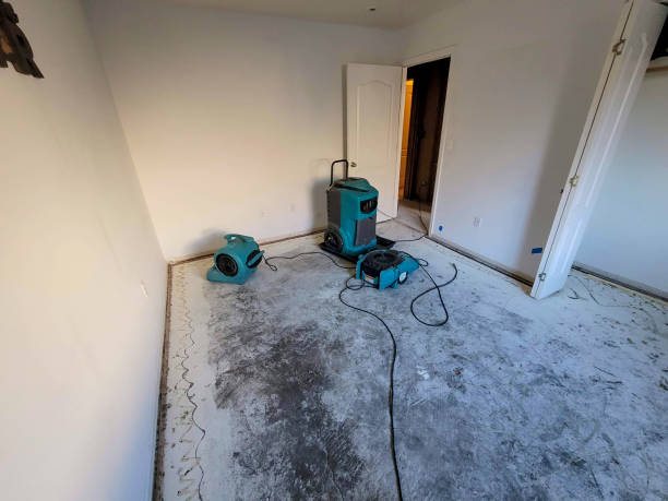 Best Ceiling water damage repair  in Rainsville, AL